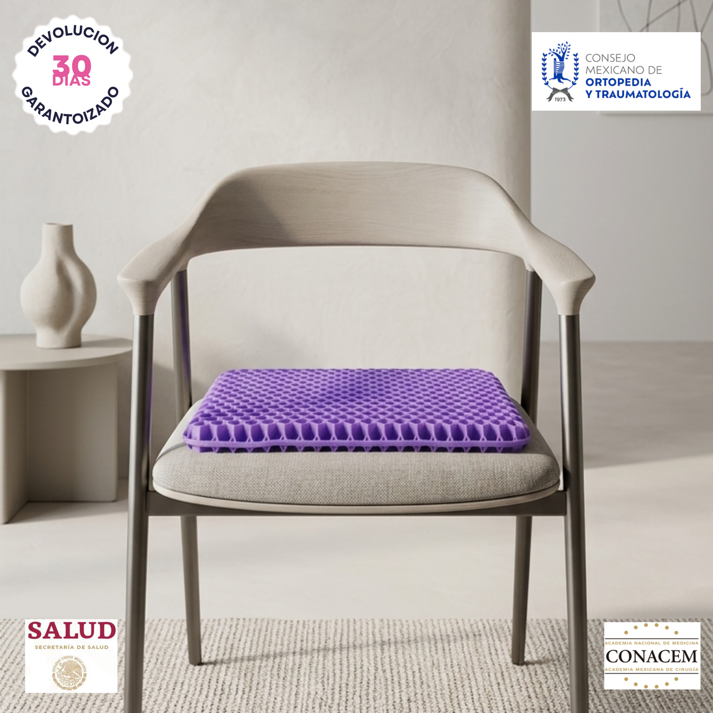 HIVE SEAT - Horas Sentado sin Dolor