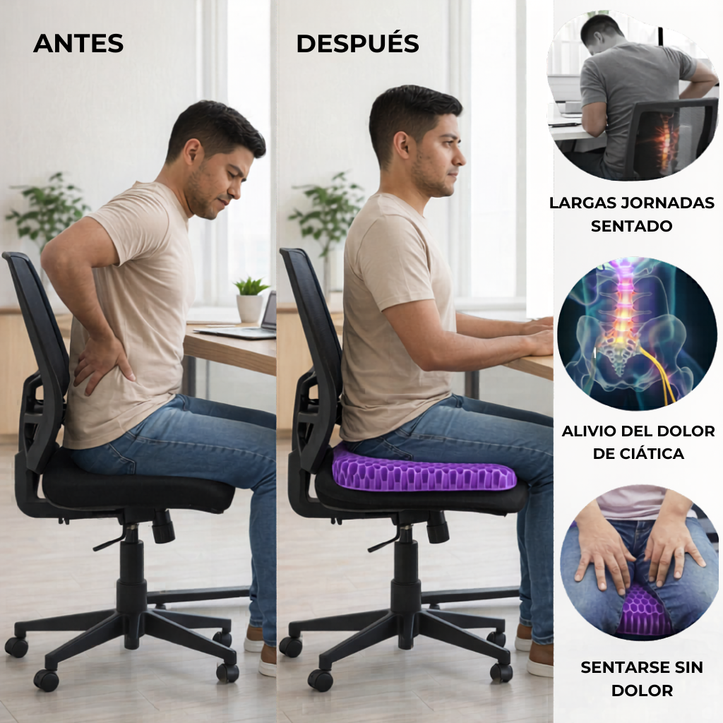 HIVE SEAT - Horas Sentado sin Dolor